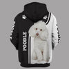 Poodle Paws Men and Women 3D T Shirt