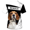 Beagle If You Don’t Have One Shirt 3D Full Printing for Dog Mom Dad lovers