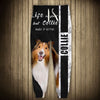 Collie - Life Short, Pet Better - Hoodie, Sweatshirt, TShirt