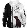 American Water Spaniel - Steal Your Heart, Steal Your Bed - Hoodie, Sweatshirt, TShirt