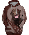 I Asked God For A True Friend So He Sent Me A Labrador Retriever Men and Women 3D T Shirt