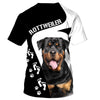 ROTTWEILER – when I needed a hand I found your paw Men and Women 3D Shirt